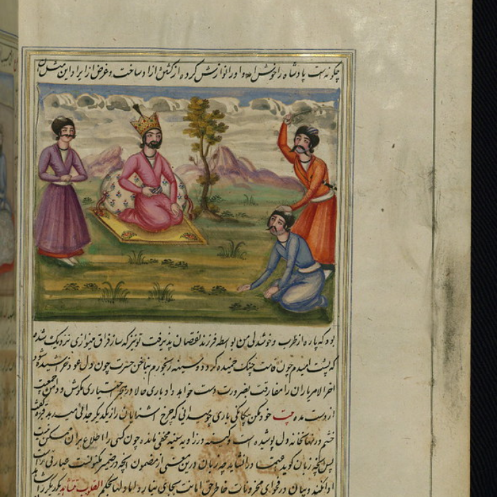 jealousy original sensible seeds