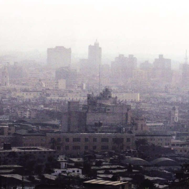 la tota de jerez analisis y comparacion de los mejores aceites para potenciar tus platos