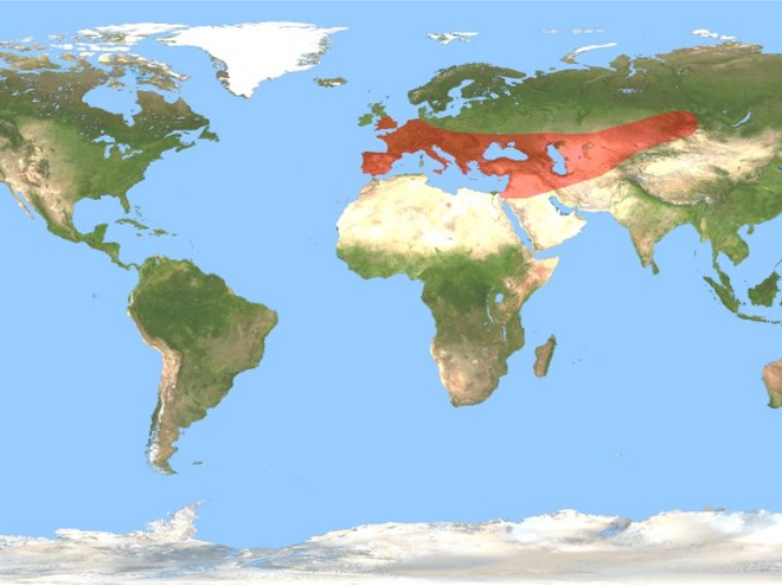 la vida contada por un sapiens a un neandertal