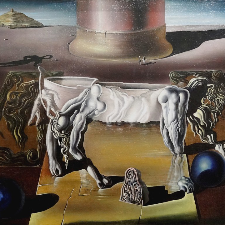 la vida secreta de salvador dali esp