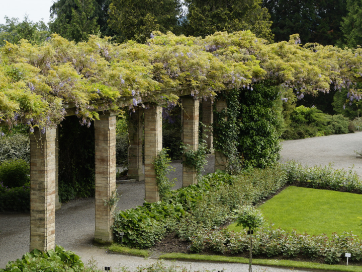 los 5 mejores cenadores para camping analisis de productos para disfrutar al aire libre en la montana