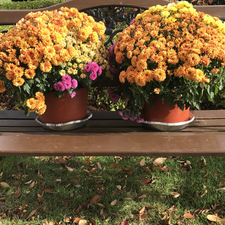 malaz el libro de los caidos 01 los jardines de la luna cartone