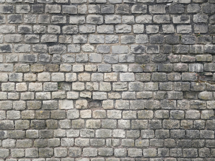 mantecados la muralla veganos analisis y comparativa de compra online
