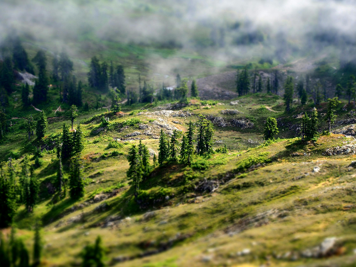 natural earth colors intense copper