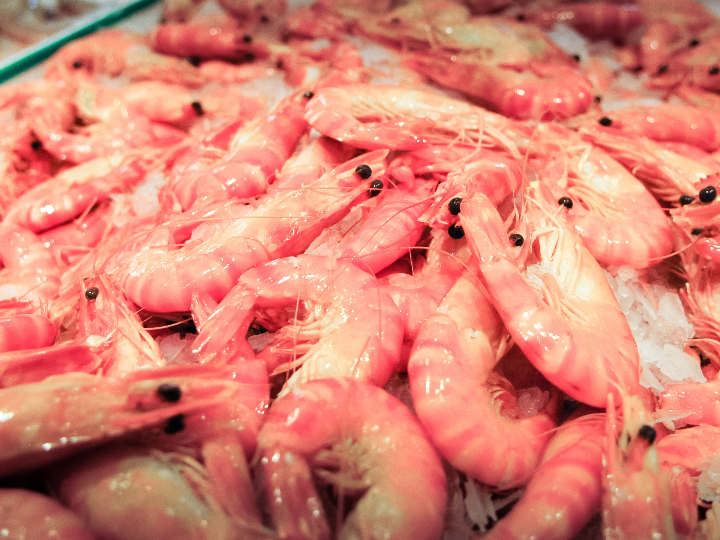 origen de los langostinos del mercadona de donde vienen