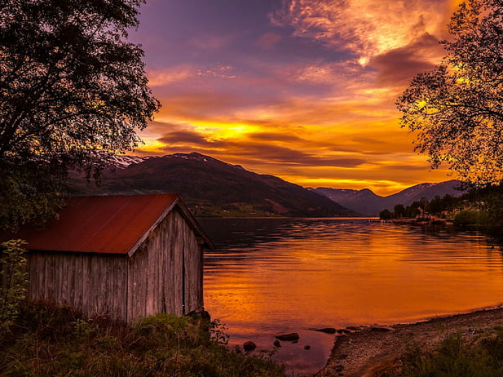 paleta de cebo campo 50 iberica salamanca julian del aguila