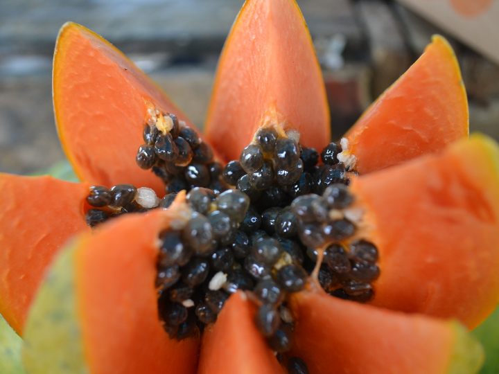papaya mercadona precio y opiniones