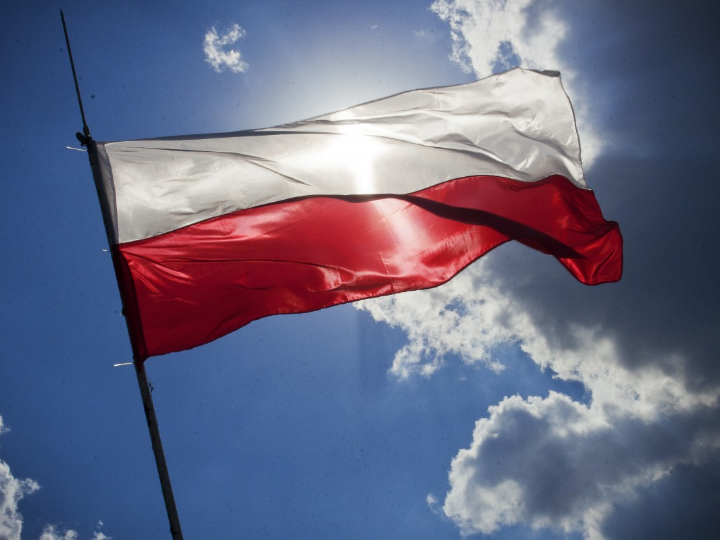que tipo de enchufe se usa en polonia