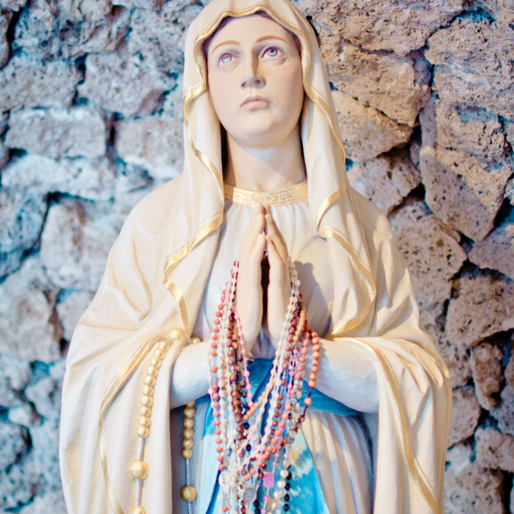 rosa maria moreda vigo