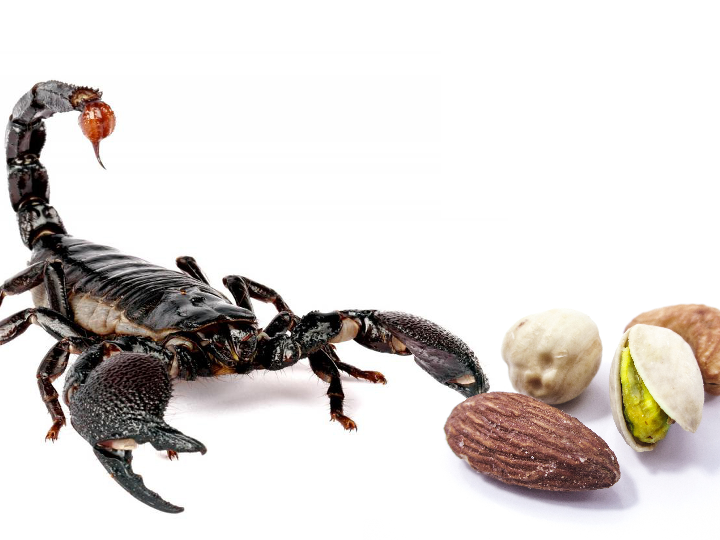 rubs que son descubre como usarlos