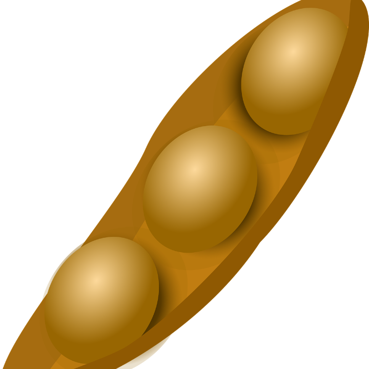 shoyu salsa de soja eco granel