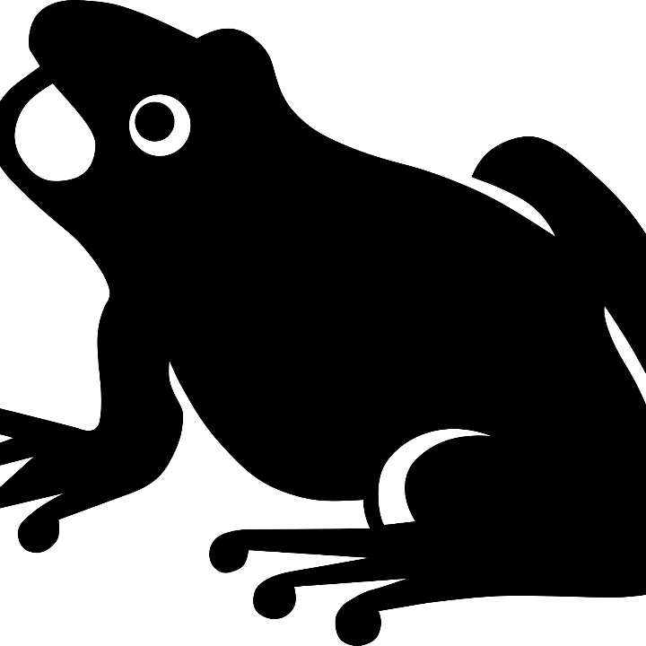 silueta rana c 1 p 7 george luck