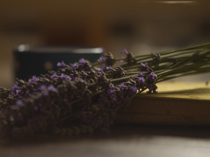 sol de oro plus 250ml