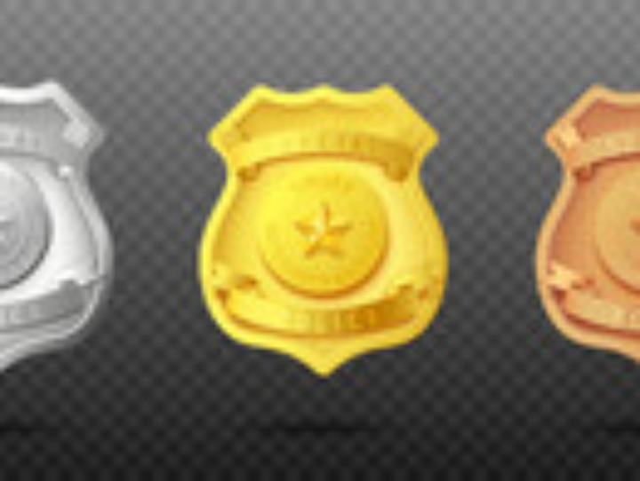 spanish private security badges