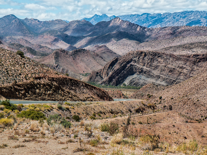 tarsus reserva 2018 magnum