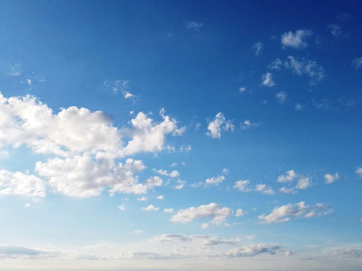 teresa carles estrena carta y reinventa su cocina ovolacteo vegetariana