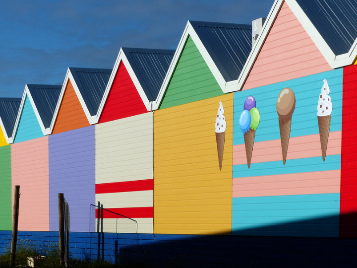 the best cbd shop in edinburgh