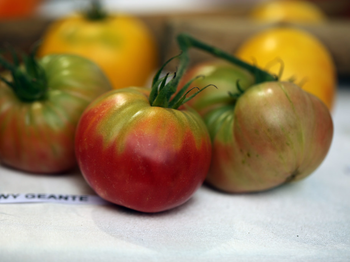 tipos de boniato variedades y sus beneficios nutricionales