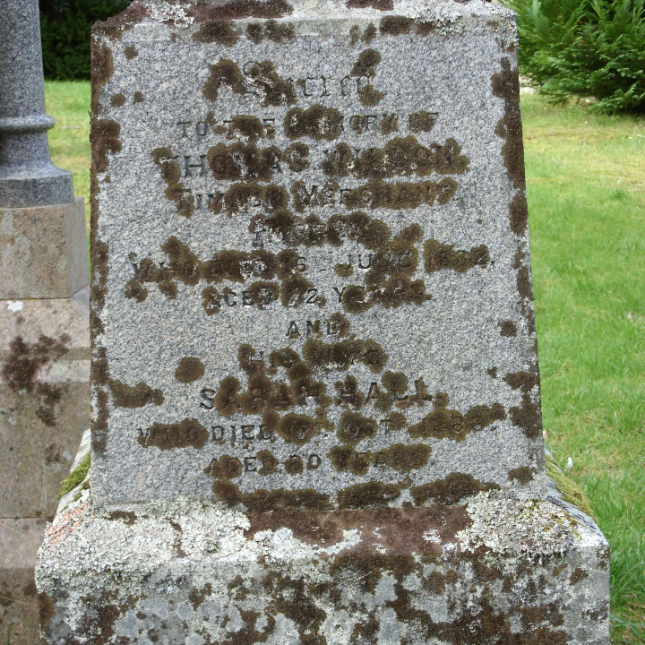 ventilador dani 165391420 fabrilamp 72w 6117lm cromo 108d 3000 4000 6000k temporizador