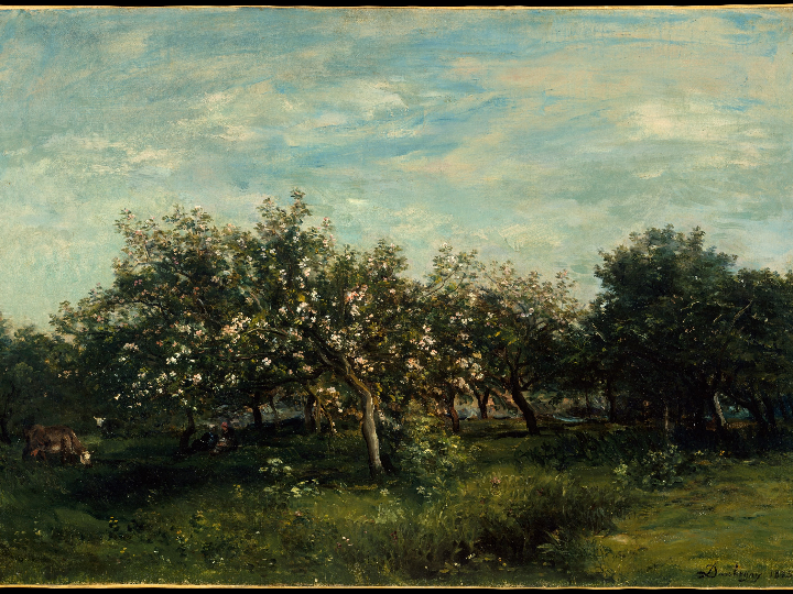 vestido fiesta dolcezza moda 8046