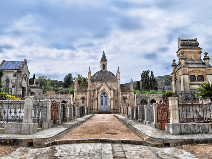 veterinario en sant feliu de llobregat