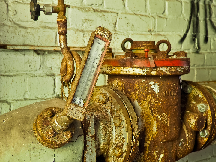 vinas bajas cooperativa nuestra senora del pilar idescubre los secretos de este vinedo unico