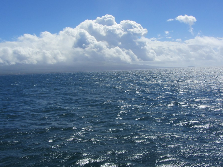 vino aalto opiniones y analisis